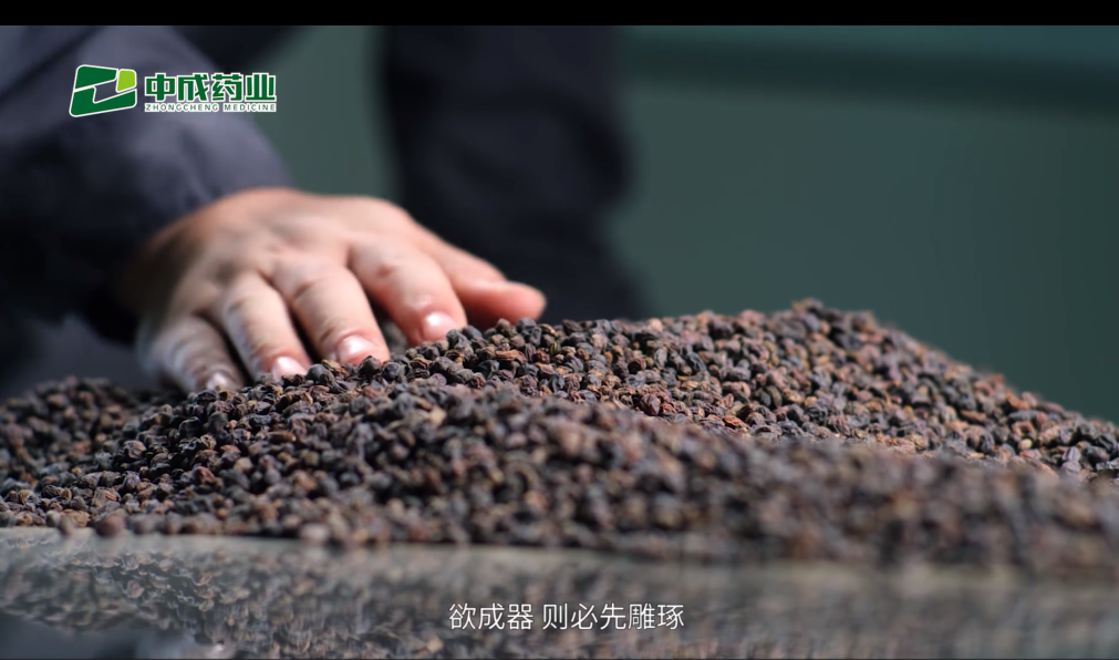 w66利来国际最给力的老牌芪贞增免颗粒